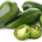 100 Seeds Jalapeno Pepper Seeds to Plant Versatile Pepper for Eating and Seasoning (Seeds)