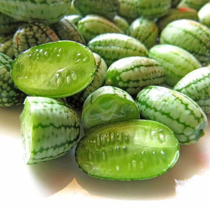 25+ SEEDS MOUSE MELON / CUCAMELON /MELOTRIA SCABRA TASTY FRUITS (Seeds)