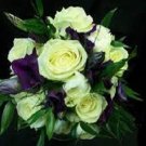 20+ SEEDS YELLOW AND PURPLE LISIANTHUS FLOWER SEEDS MIX ANNUAL (Seeds)