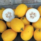 25 Seeds Cucumis melo VINE PEACH or MANGO MELON (Seeds)