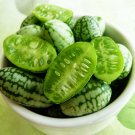 5 Seeds Melothria scabra CUCAMELON (Seeds)