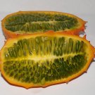 5 Seeds Cucumis metuliferus KIWANO HORNED MELON (Seeds)