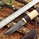 10" Damascus steel skinner Knife,Camel bone Brass & Bull horn scale, sheath