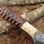 7" Jigged wood & bone scale compact knife Full tang Damascus blade cow sheath