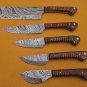 5 piece Kitchen knife set, Brow jigged scale, Overall 42" long,suede roll sheath