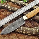 10.5" long Damascus steel Santoku Kitchen Knife 5.5" cutting edge, wood scale