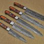 5 piece Kitchen knife set, Hand forged hammered Damascus steel Orange Black