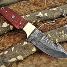 8" Red Damascus steel gut hook blade Skinning pocket knife with Leather sheath