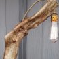 Driftwood Table Lamp, Stunning Unique Large Driftwood Trunk On driftwood Base