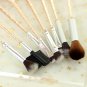 8pc women jewelry Game of Thrones King's Hand/badge/Fish/lion / the sun Makeup/cosmetic brush