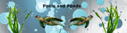 poolsandponds