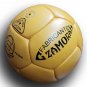 The Crack Copa Jules Rimet | Antique Vintage Football | Chile World Cup 1962
