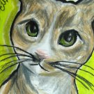 Brown CAT Green Eyes Pet Portrait Original Sketch Card Art Drawing PSC ACEO 1/1 Maia