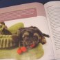 Knitting Never Felt Better guide to fabulous felting book Nicky Epstein 2007 yarn into matted wool