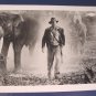 Temple of Doom IJ-TD-652 Indiana Jones Harrison Ford elephants photograph black white photo 1980s