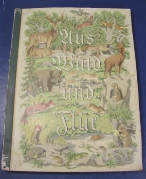 Antique 1938 German 124 animals color cigarette trade cards album Uus Wald Und Flur book