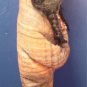 Skookum Indian Native American early doll 11 inch man or woman baby papoose blanket beads