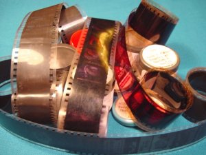 Snakes Rats Flies 6 rolls Filmstrip 35mm school educational celluloid projector film 50s 60s movies