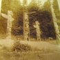 RPPC Totem Poles Stanley Park Vancouver B.C. Canada real photo postcard Gowen Sutton 1930s sepiatone
