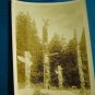 RPPC Totem Poles Stanley Park Vancouver B.C. Canada real photo postcard Gowen Sutton 1930s sepiatone
