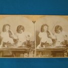 Griffith Our Pet Bunnies stereoview stereoscope card antique 1894 Victorian children photo W. H. Rau