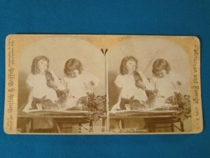 Griffith Our Pet Bunnies stereoview stereoscope card antique 1894 Victorian children photo W. H. Rau