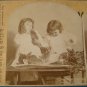 Griffith Our Pet Bunnies stereoview stereoscope card antique 1894 Victorian children photo W. H. Rau