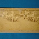 Eskimo children Columbian Exposition stereograph stereoview stereoscope card antique 1893 Kilburn