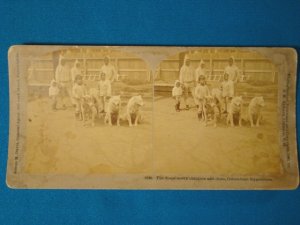 Eskimo children Columbian Exposition stereograph stereoview stereoscope card antique 1893 Kilburn