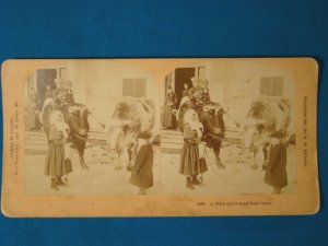 Victorian children bull cow stereograph stereoview stereoscope card Kilburn antique 1891 J Davis