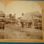 Havana Cuba farming scene stereoview stereograph stereoscope card 9072 Keystone View antique 1898