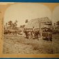 Havana Cuba farming scene stereoview stereograph stereoscope card 9072 Keystone View antique 1898