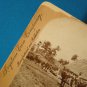 Havana Cuba farming scene stereoview stereograph stereoscope card 9072 Keystone View antique 1898