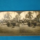 Island of Guam primitive cart stereoview stereograph stereoscope card Keystone View antique 1900s
