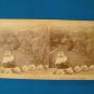 Swedish landscape at Husqvarna stereoview stereograph stereoscope card Underwood 1897 antique