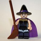 Vampire WitchCustom minifigure horror movie building halloween toy figure