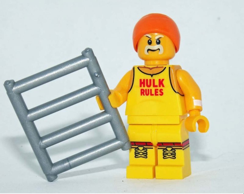 V2 WWE WWF wrestler Custom minifigure movie building toy figure! wrestling