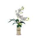 Phalaenopsis aphrodite Rchb. f. Building Block Toy Lego Compatible Min