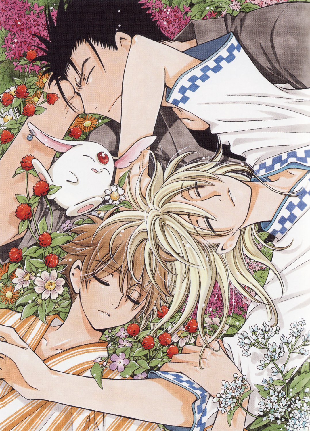 Tsubasa Reservoir Chronicle Scan ANIME POSTER 12x18 Tsubasa: Reservoir Chronicle 715329 Syaoran Fay Kurogane