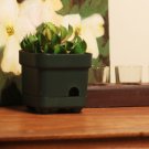 Decorative Plant With Hidden Camera