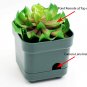 Decorative Plant With Hidden Camera