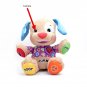 Stuffed Dog With Covert Camera