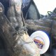 Leather Conditioners and waxes