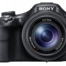 Sony Black Cyber-Shot 20.4 Megapixel Digital Camera