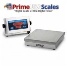 Doran Scale Washdown 2X0.0005 LB / 0.9 kg x 0.2 g 8"x8" Base,Heavy Duty 304 Sta