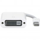 Apple Mini DisplayPort to DVI Adapter (MB570LL/B)
