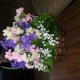 Artificial Floral Arrangements