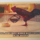 Coffee Rooster Sign