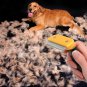 FURMINATOR Large DeShedding Tool 4" Edge for Long & Short Haired Dogs/Cat