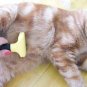 FURMINATOR Large DeShedding Tool 4" Edge for Long & Short Haired Dogs/Cat